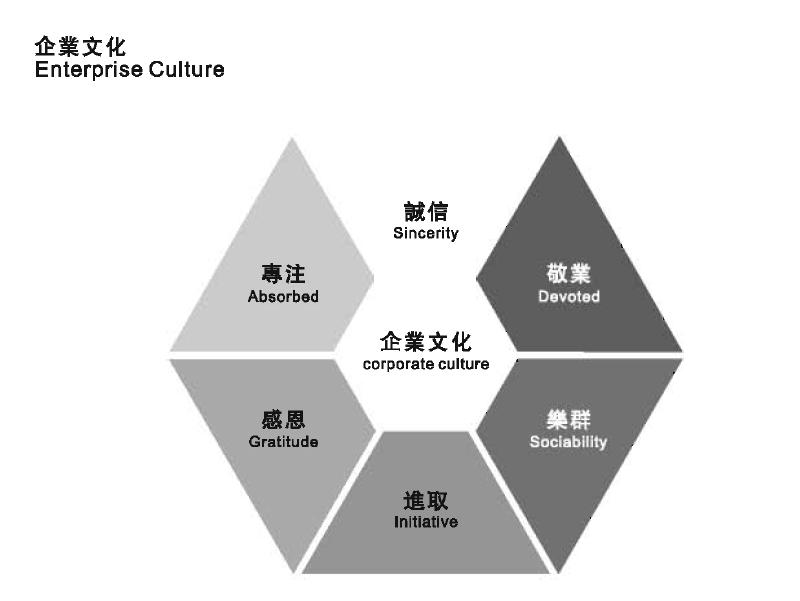 ثقافة المؤسسة